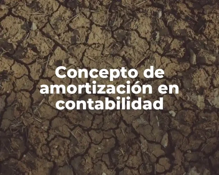 Concepto de amortización en contabilidad