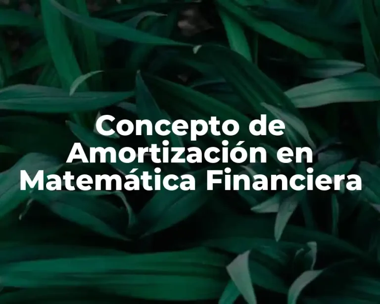 Concepto de Amortización en Matemática Financiera