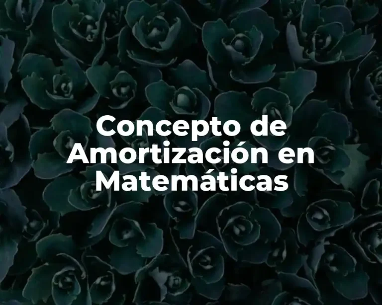 Concepto de Amortización en Matemáticas
