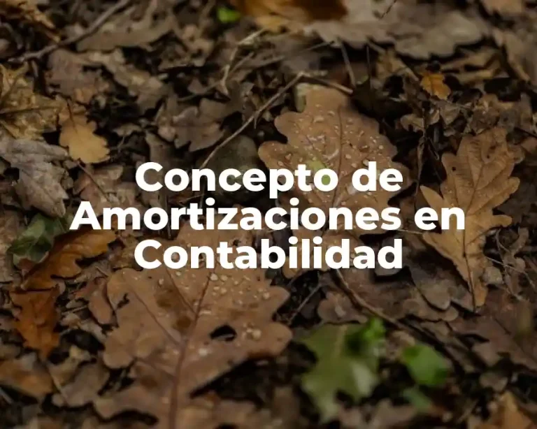 Concepto de Amortizaciones en Contabilidad