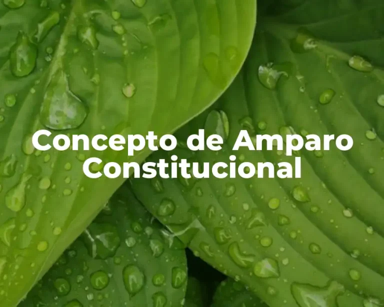 Concepto de Amparo Constitucional