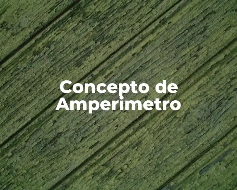 Concepto de Amperimetro
