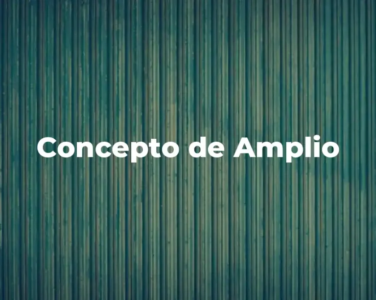 Concepto de Amplio