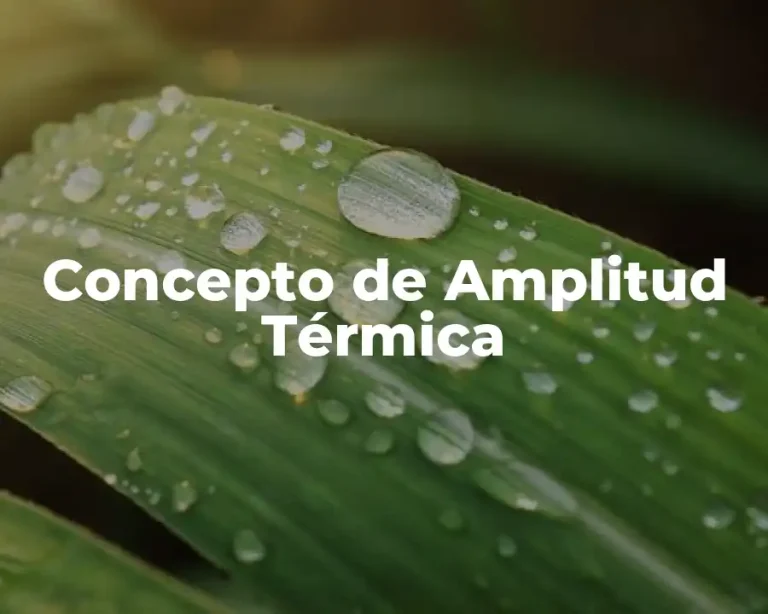 Concepto de Amplitud Térmica