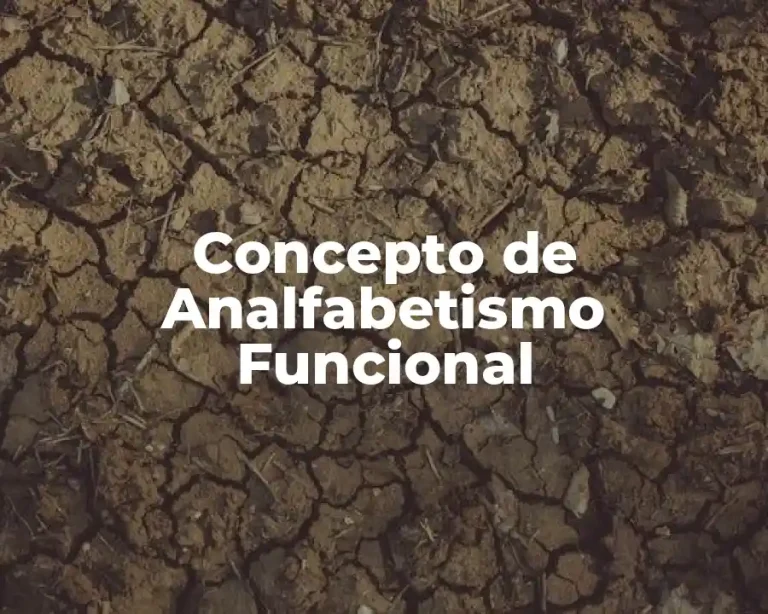 Concepto de Analfabetismo Funcional