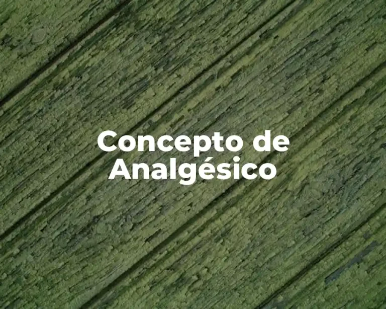 Concepto de Analgésico