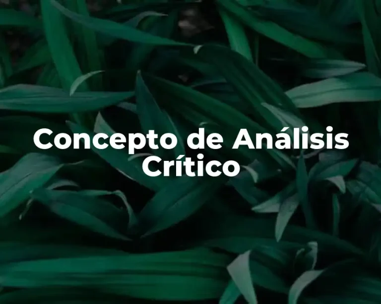 Concepto de Análisis Crítico