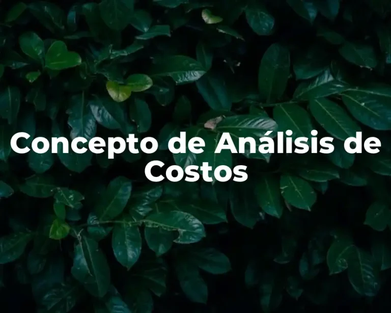 Concepto de Análisis de Costos