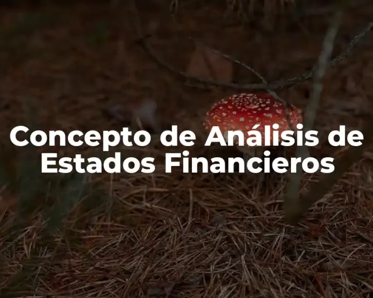 Concepto de Análisis de Estados Financieros