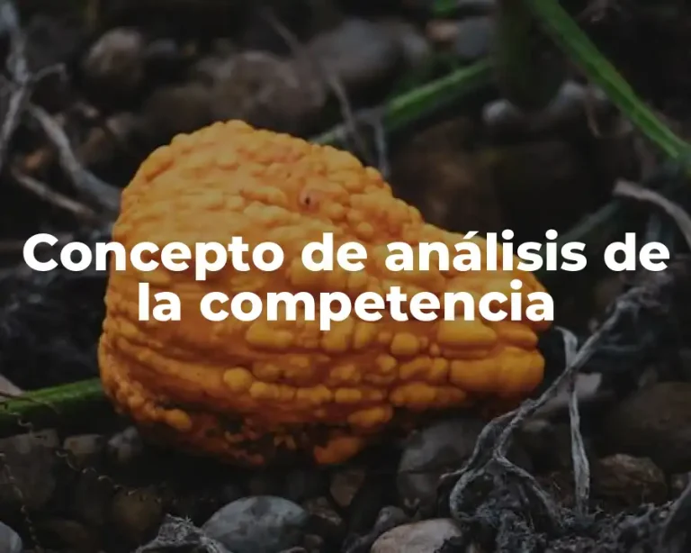 Concepto de análisis de la competencia