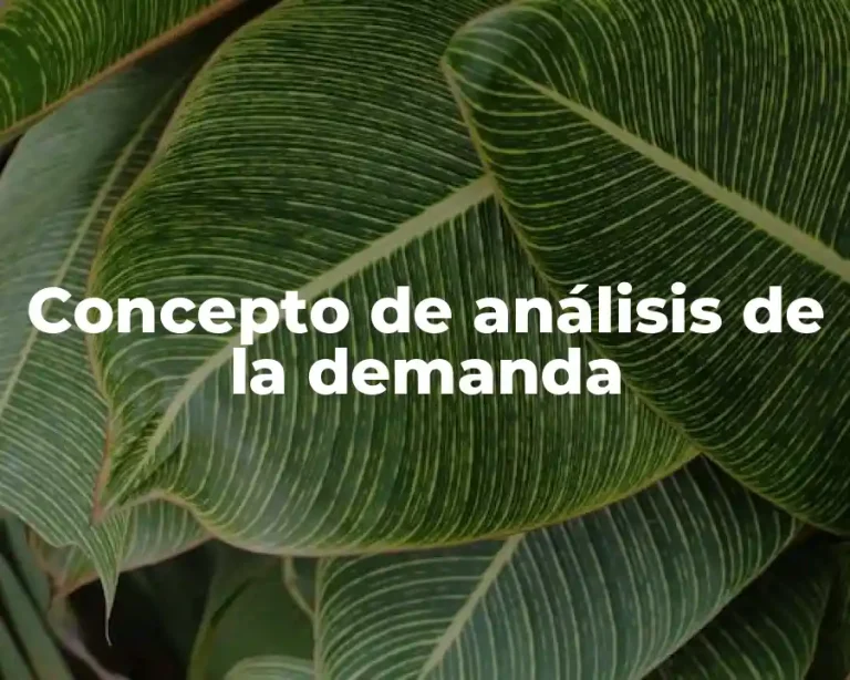Concepto de análisis de la demanda