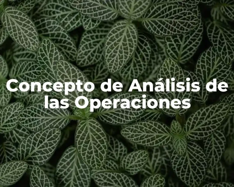 Concepto de Análisis de las Operaciones