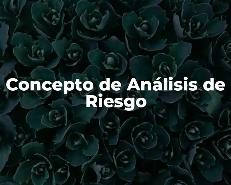 Concepto de Análisis de Riesgo