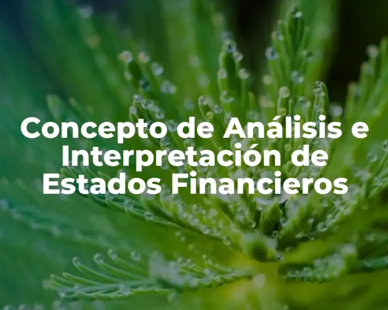Concepto de Análisis e Interpretación de Estados Financieros