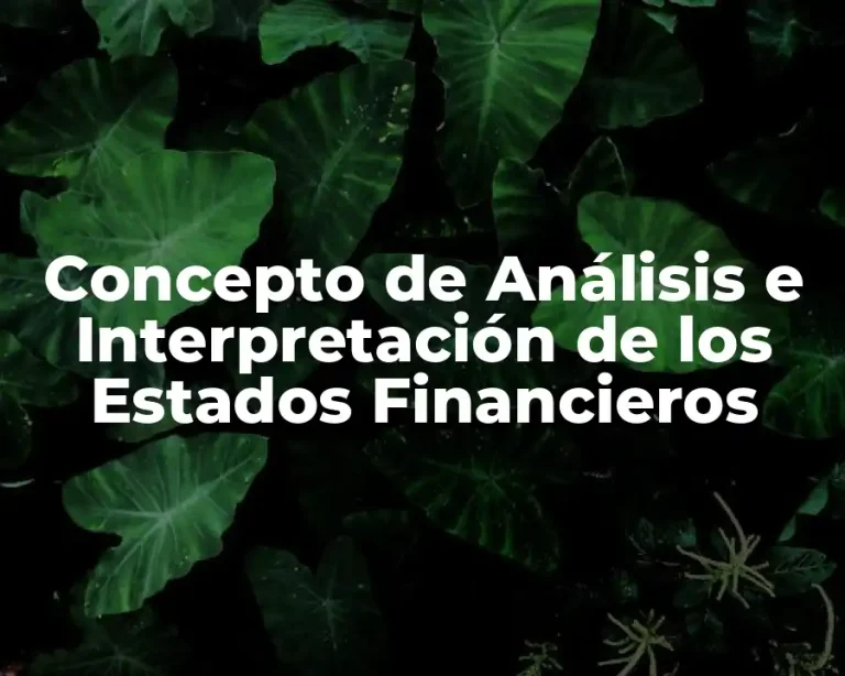 Concepto de Análisis e Interpretación de los Estados Financieros