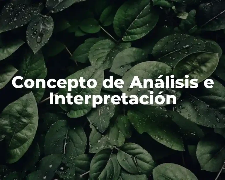 Concepto de Análisis e Interpretación