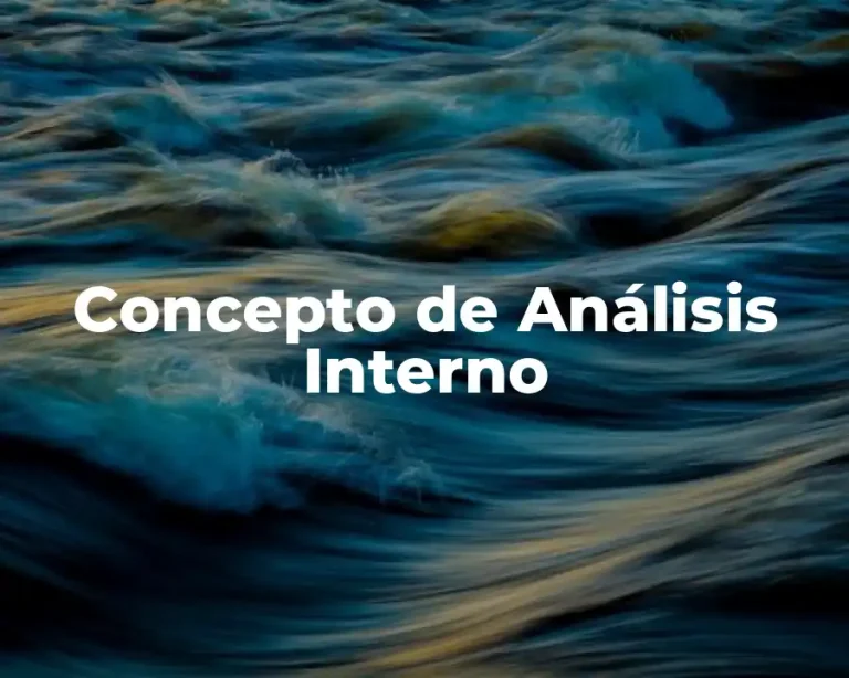 Concepto de Análisis Interno