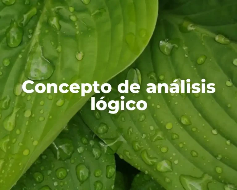 Concepto de análisis lógico