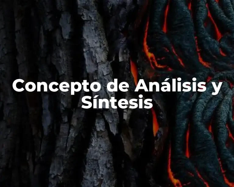 Concepto de Análisis y Síntesis
