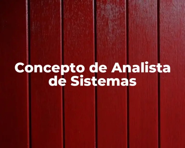 Concepto de Analista de Sistemas