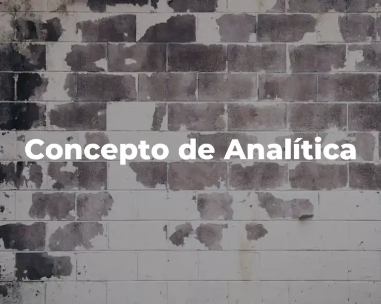 Concepto de Analítica