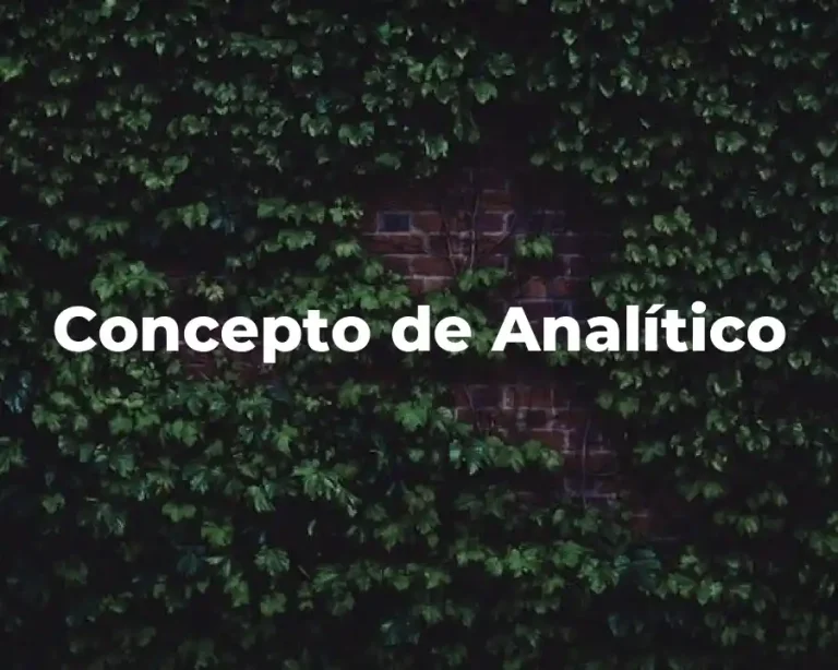 Concepto de Analítico