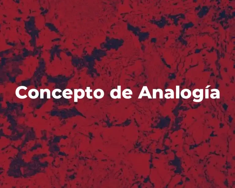 Concepto de Analogía