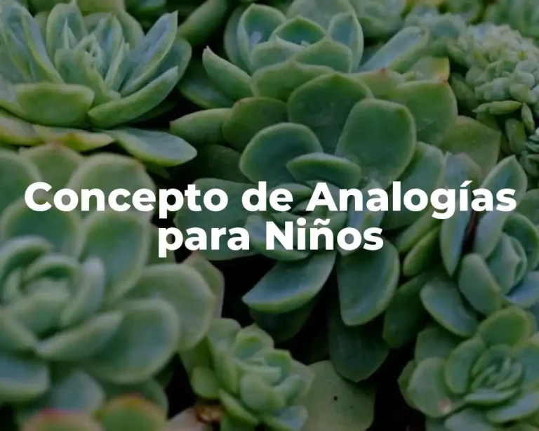 Concepto de Analogías para Niños