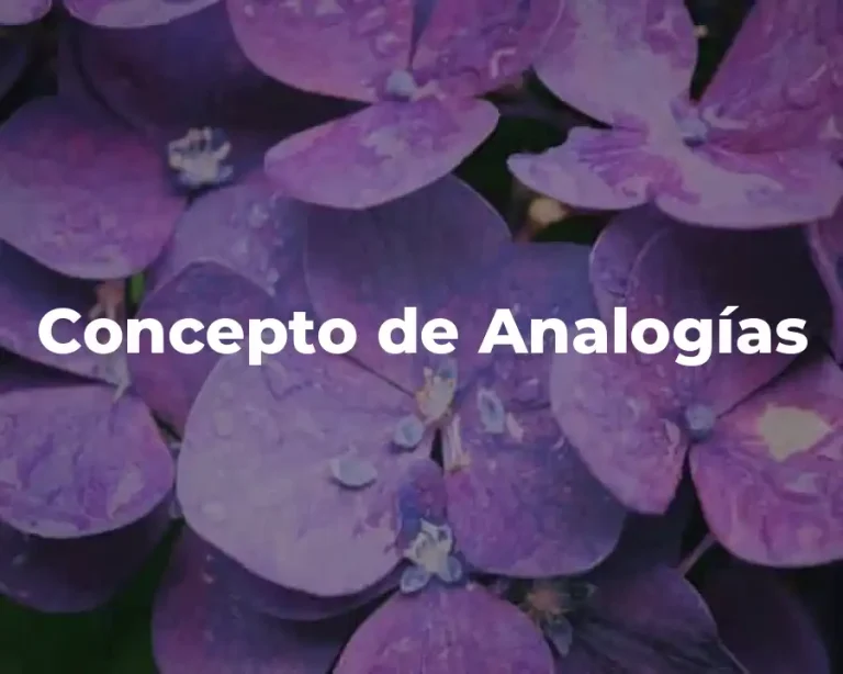 Concepto de Analogías