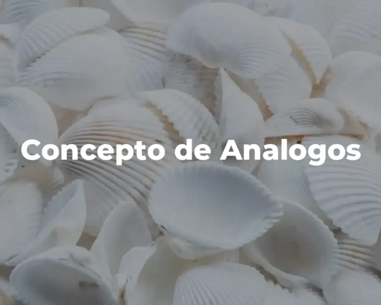 Concepto de Analogos