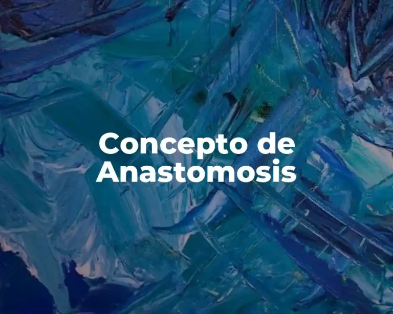 Concepto de Anastomosis
