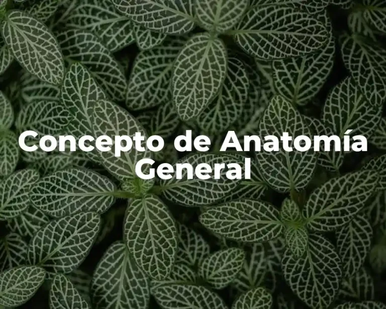 Concepto de Anatomía General