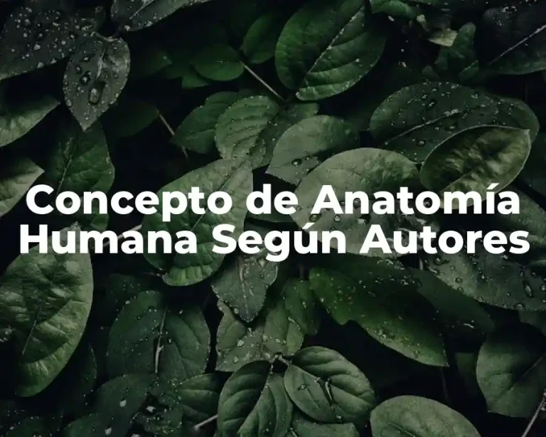 Concepto de Anatomía Humana Según Autores