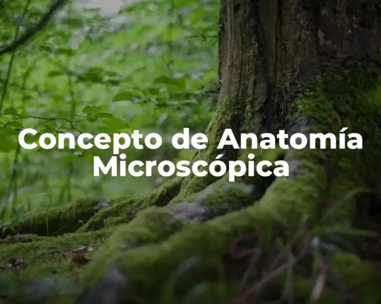 Concepto de Anatomía Microscópica