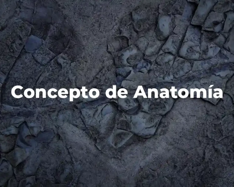 Concepto de Anatomía