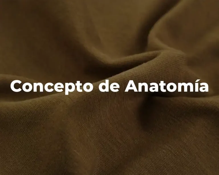 Concepto de Anatomía