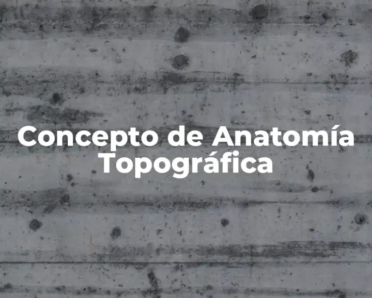 Concepto de Anatomía Topográfica