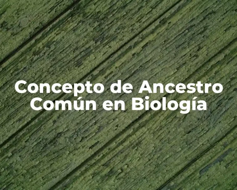 Concepto de Ancestro Común en Biología