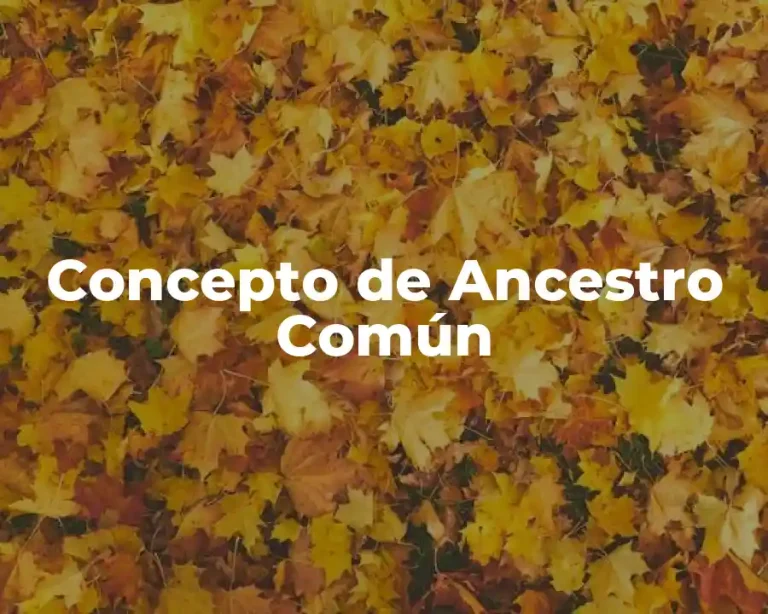 Concepto de Ancestro Común