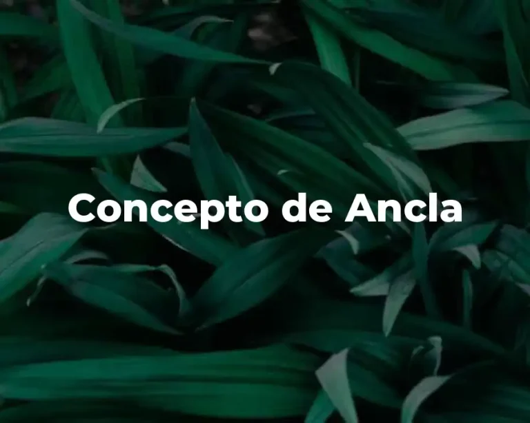 Concepto de Ancla