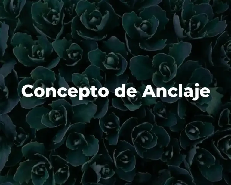 Concepto de Anclaje