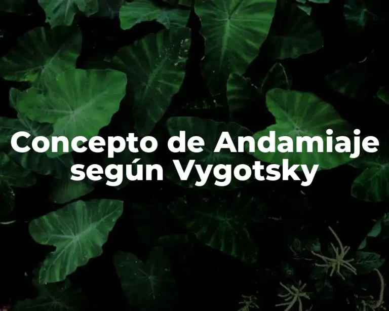 Concepto de Andamiaje según Vygotsky