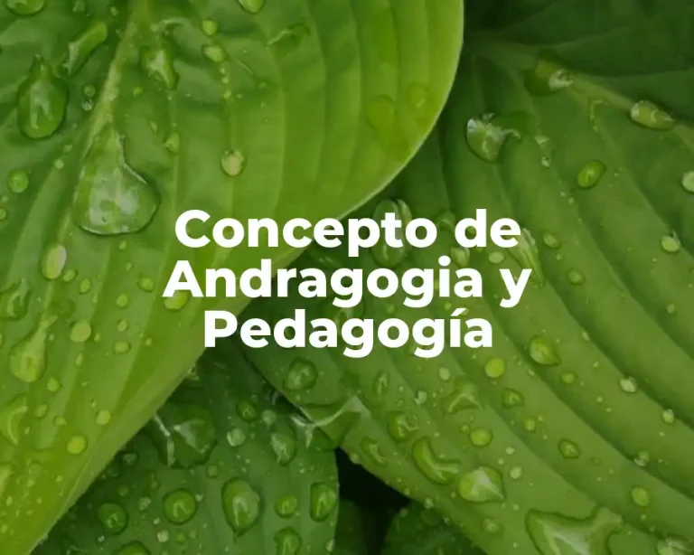 Concepto de Andragogia y Pedagogía