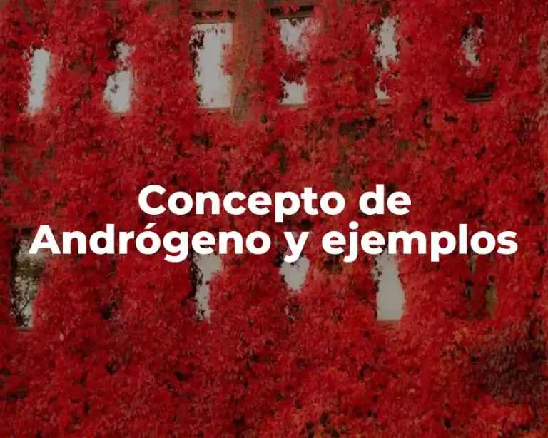 Concepto de Andrógeno y ejemplos