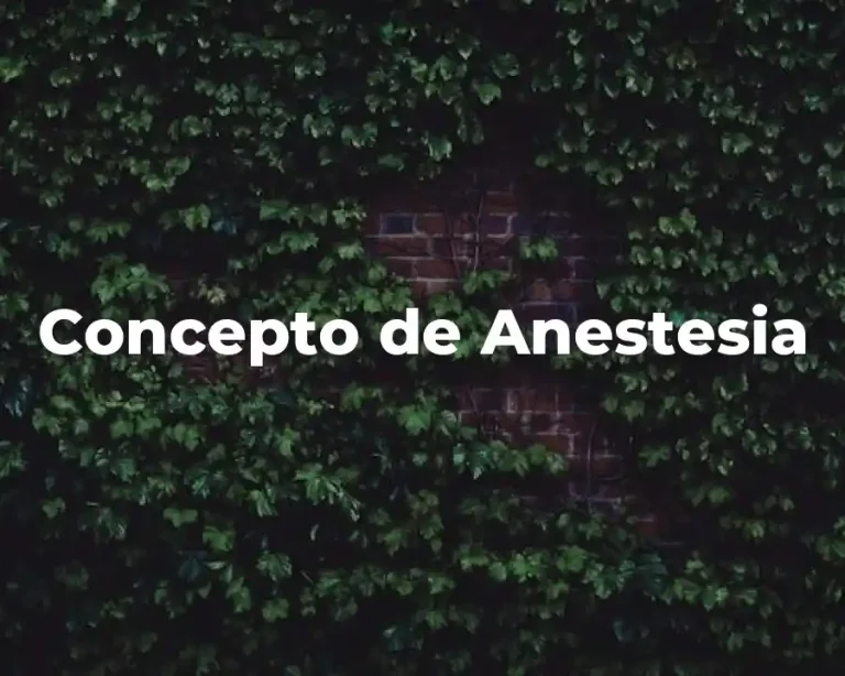 Concepto de Anestesia