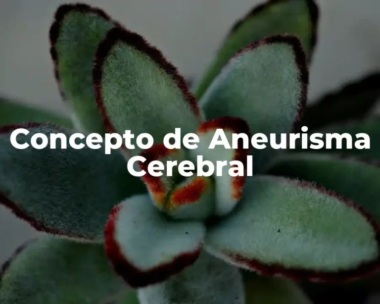 Concepto de Aneurisma Cerebral