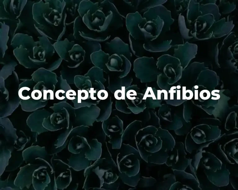Concepto de Anfibios