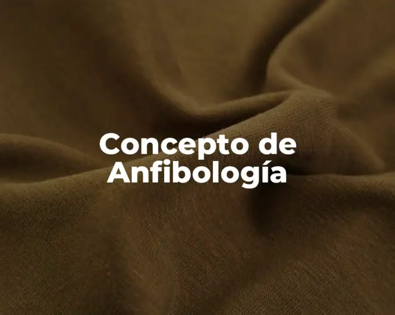 Concepto de Anfibología