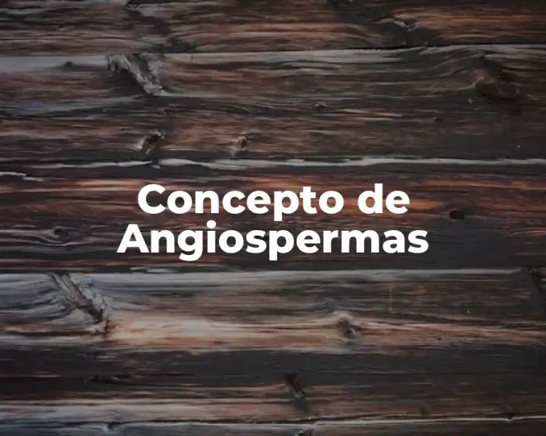 Concepto de Angiospermas