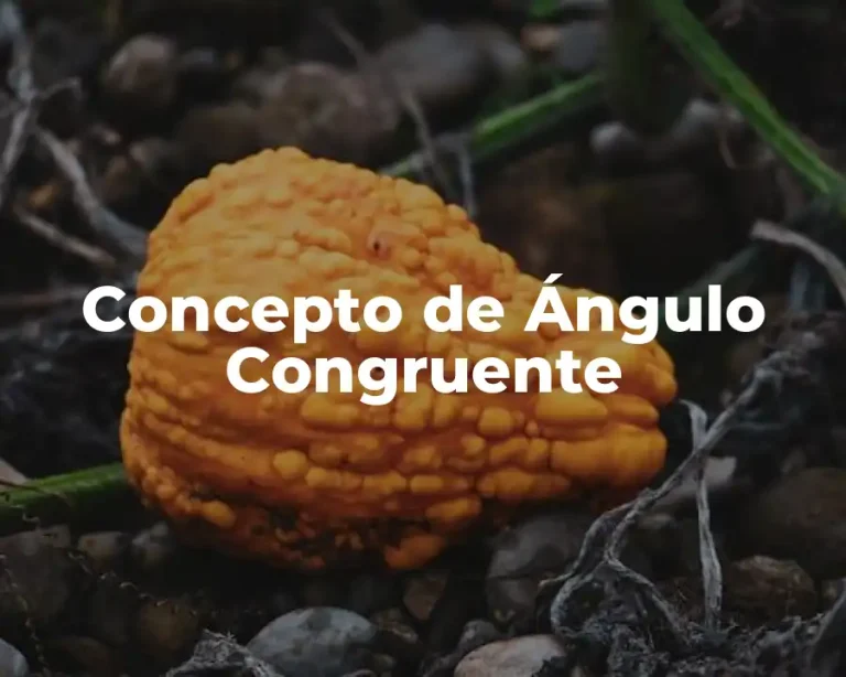 Concepto de Ángulo Congruente